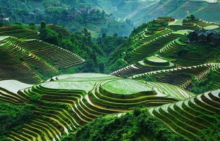 Private Day Tour of Longji Rice Terraces and Minority Village in Guilin