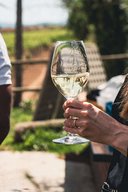 Montserrat Day Tour and Wine Tasting From Barcelona. Enjoy a Catalan Brunch with Pairing Cava. Includes Hotel Pick Up and Drop Off. - Photo 13