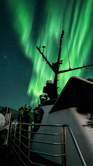 Northern Lights Boat Tour with Hot Chocolate and Free Retry Included