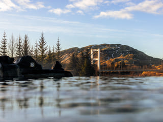 Golden Circle, Friðheimar Tomato Farm & Laugarás Lagoon, photo 10