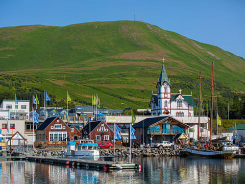 Akureyri Port: Small Group Diamond Circle Express Shore Excursion, photo 5