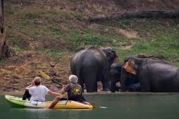 5-Day Adventure Tour in Khao Sok National Park, Thailand