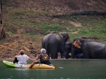 Khao Sok 3-Day 2-Night Adventure Escape with 7 Meals