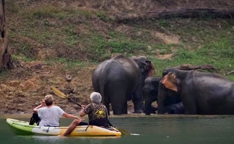 5-Day Adventure Tour in Khao Sok National Park, Thailand