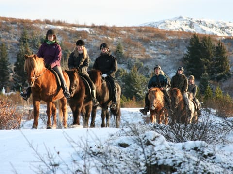 Lava Tour - Horseback Riding through the Lava Fields, photo 3
