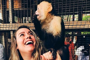 Half-Day Roatan Tour with Sloths, Monkeys, and Local Tastings