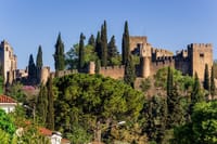 Private Tomar & Almourol Historical Daytrip from Lisbon 4
