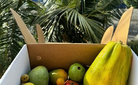 Culinary Experience and Market Tour in Negombo, Sri Lanka