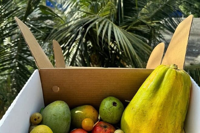 The Negombo Kitchen: Traditional Cooking & Local Market Walk 2