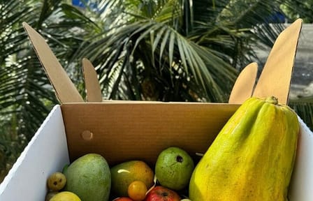 Culinary Experience and Market Tour in Negombo, Sri Lanka