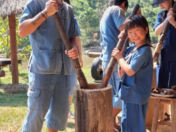 Full-Day Elephant Sanctuary and Pad Thai Cooking in Chiang Mai