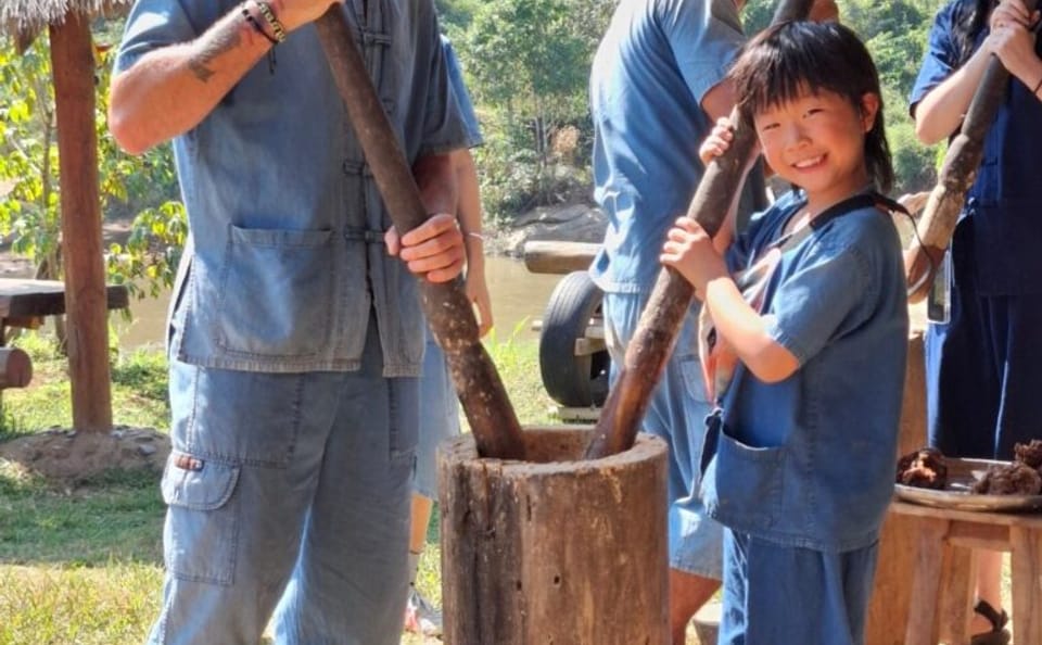 Elephant Sanctuary and Pad Thai Cooking Workshop in Chiang Mai