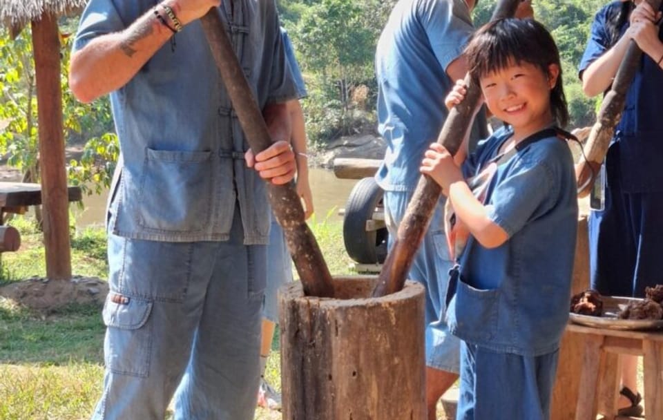 Full-Day Elephant Sanctuary and Pad Thai Cooking in Chiang Mai