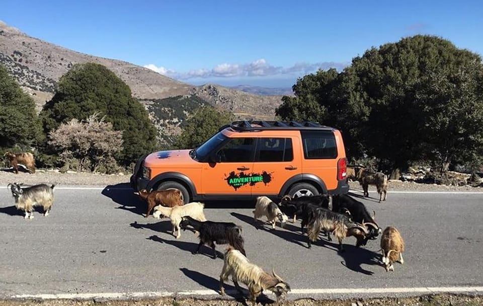 ATV Adventure and Olive Oil Tasting in Kritsa, Agios Nikolaos