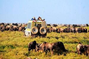 6-Day Tanzania Camping Safari: Lake Manyara, Serengeti, Ngorongoro Cater and Tarangire National Park from Arusha