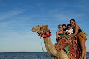 One hour Camel Ride At Amazing Marsa Alam Desert with transfer - Marsa Alam