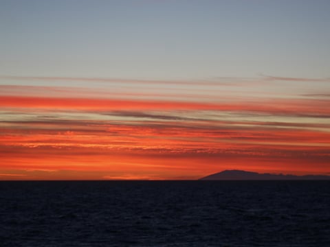 Reykjavík Premium Whales in the Midnight Sun, photo 17