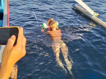 Swim with Dolphin