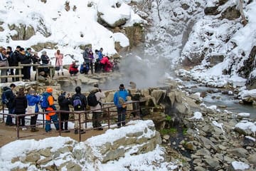 Tokyo to Snow Monkey & Zenkoji Tour