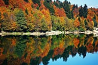 2 Days Private Tour to Shaori Lake and Khvanchkara Cellar in Racha 2