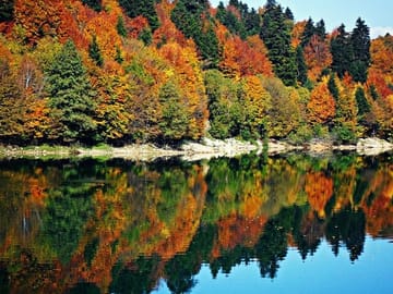 4 Full days in Georgia with private tour, free aiport