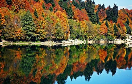 2 Days Private Tour to Shaori Lake and Khvanchkara Cellar in Racha