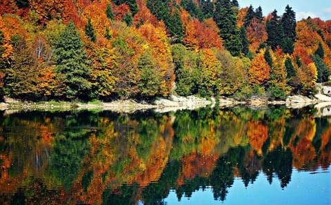 Private 2-Day Adventure to Shaori Lake and Khvanchkara in Racha