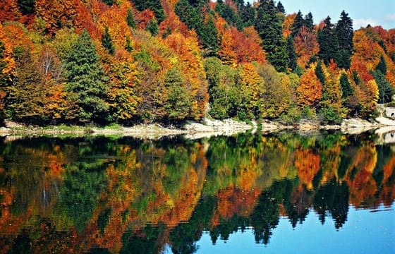 2 Days Private Tour to Shaori Lake and Khvanchkara Cellar in Racha