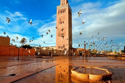 Marrakech Half-Day Guided City Tour