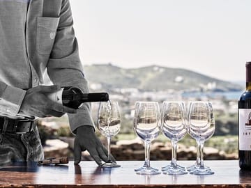 Enjoy wine tasting...