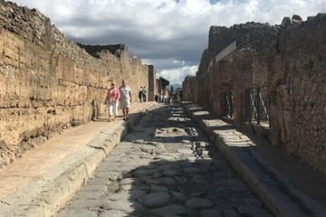 Pompeii and Herculaneum Guided Tour from Naples