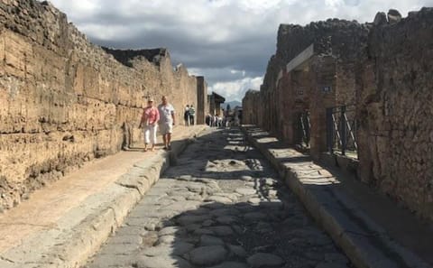 Pompeii and Herculaneum Guided Tour from Naples