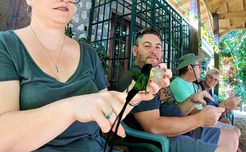 Birdwatching at Rocklands Sanctuary and Montego Bay Highlights