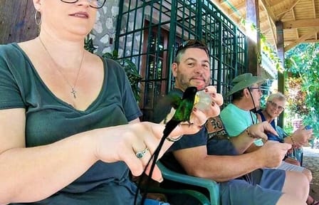 Birdwatching at Rocklands Sanctuary and Montego Bay Highlights