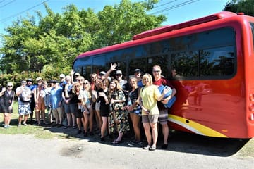 YS Falls and Black River Safari Tour with Lunch from Falmouth