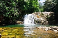 Sinharaja Rain Forest Tour from Bentota 10