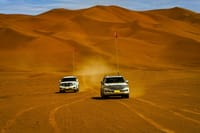 Desert Safari with Camel Riding and BBQ Dinner 9