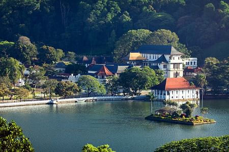 Kandy Day Tour from Colombo: Elephants, Spice Garden & Sacred Temple