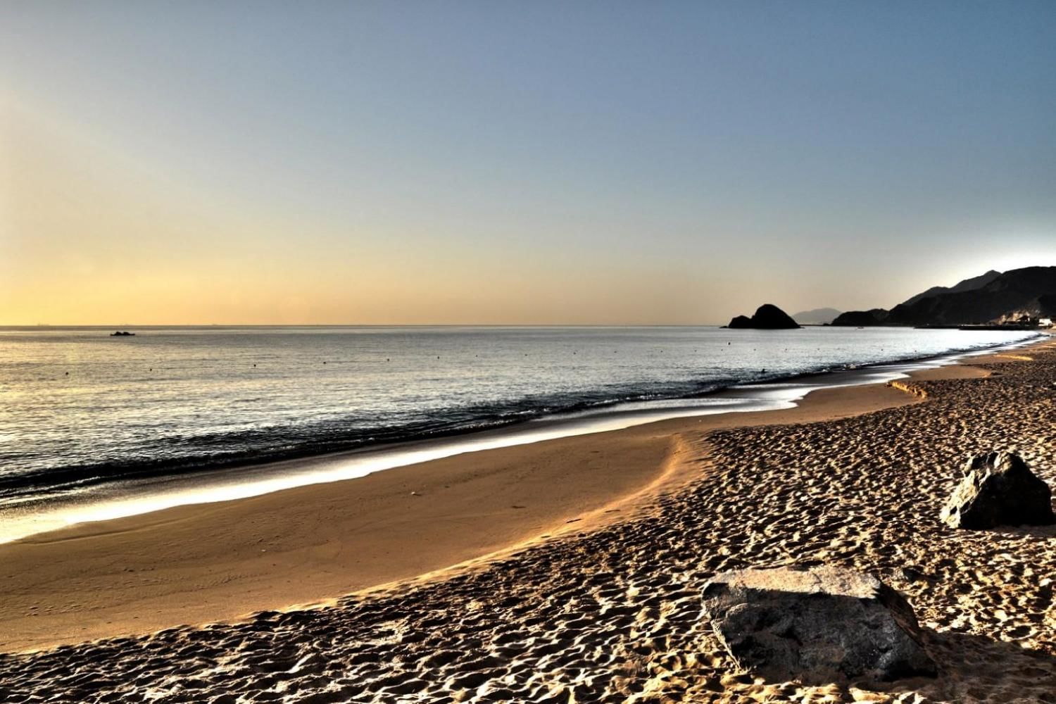 East Coast Tour with Lunch with Daytur