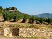 Winery Tour & Tasting near Lake Trasimeno & Perugia 9