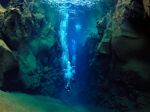 Reykjavík Whales & Diving, photo 3