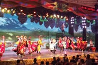 PRI Day Tour to Nanshan and Erdaoqiao Show with Dinner in Urumqi 3
