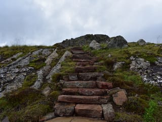 Private Eastfjords Seasonal Wildlife Tour from Seyðisfjörður, photo 7