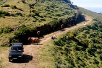 Jeep Tour Câmara de Lobos - Half day 1