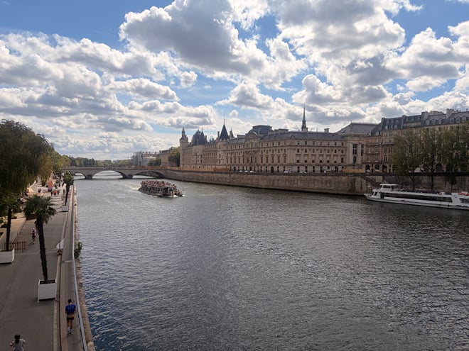 Private Île de la Cité and Notre-Dame Exterior Walking Tour