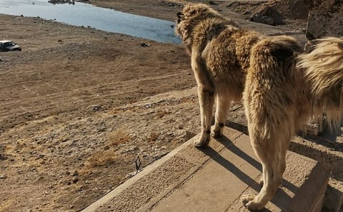 Private Four-Day Tour of Cappadocia and Gobeklitepe from Istanbul