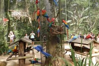 Bird Park
