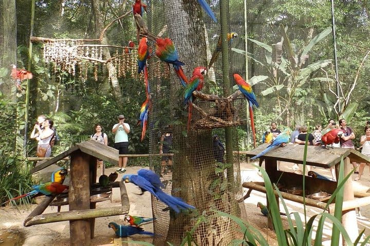 Bird Park