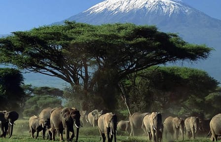 3-Day, All-Inclusive Amboseli Camping Safari