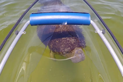 Banana Beach and Racha Island by speedboat